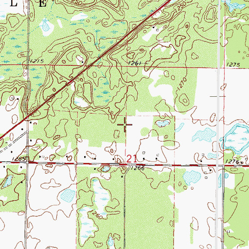 Topographic Map of Township of Irondale, MN