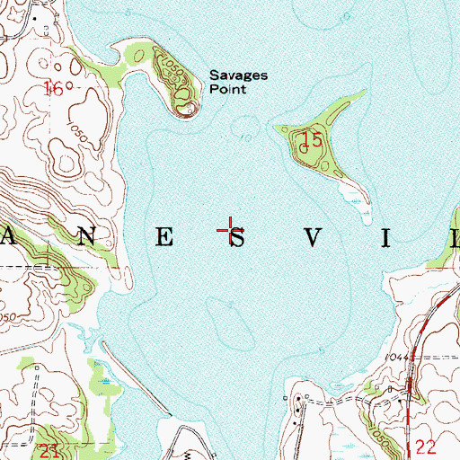Topographic Map of Township of Janesville, MN