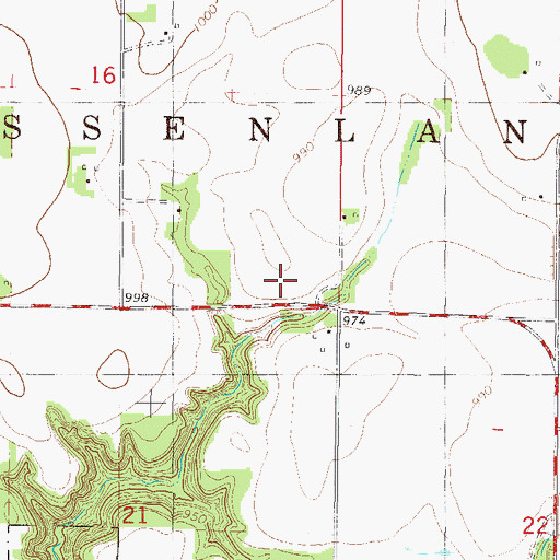 Topographic Map of Township of Jessenland, MN