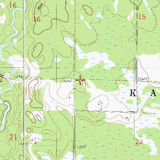 Topographic Map of Township of Kalevala, MN