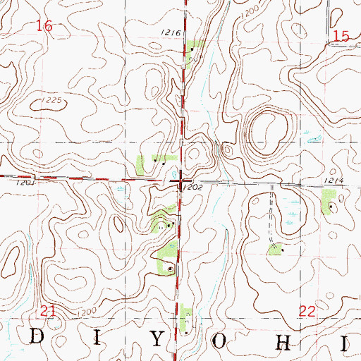 Topographic Map of Township of Kandiyohi, MN