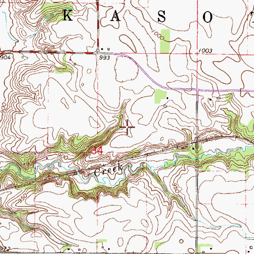 Topographic Map of Township of Kasota, MN