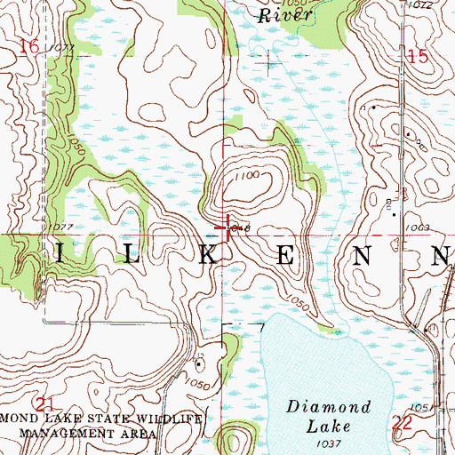 Topographic Map of Township of Kilkenny, MN