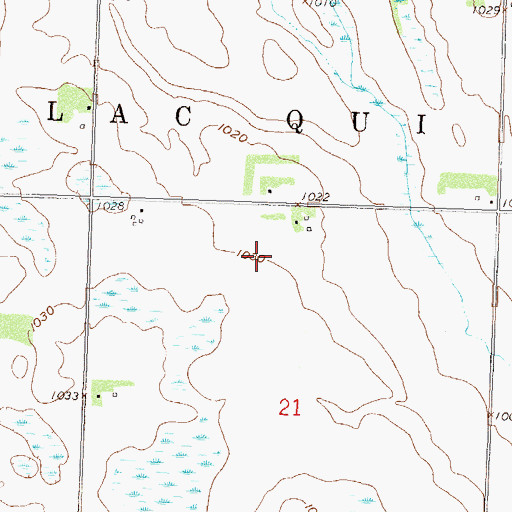 Topographic Map of Township of Lac qui Parle, MN