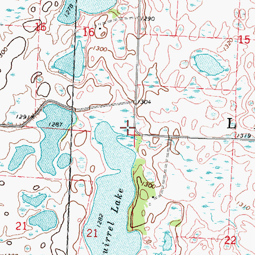 Topographic Map of Township of Lake Grove, MN