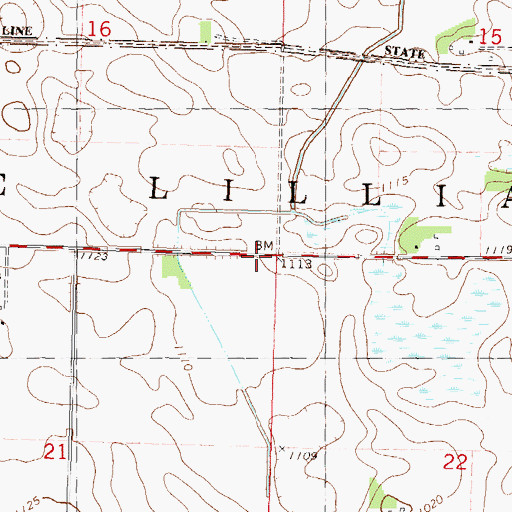 Topographic Map of Township of Lake Lillian, MN