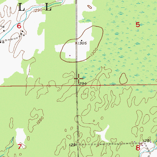Topographic Map of Township of Lavell, MN