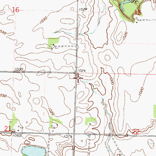 Topographic Map of Township of Leavenworth, MN