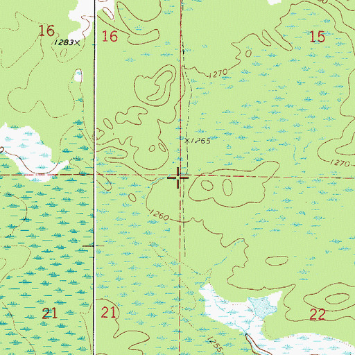 Topographic Map of Township of Lee, MN