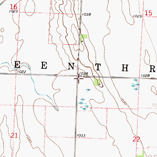 Topographic Map of Township of Leenthrop, MN