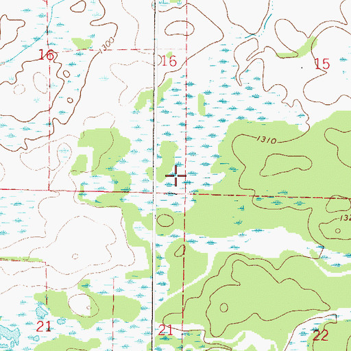 Topographic Map of Township of Leigh, MN