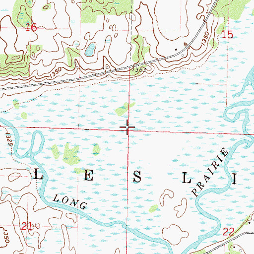 Topographic Map of Township of Leslie, MN
