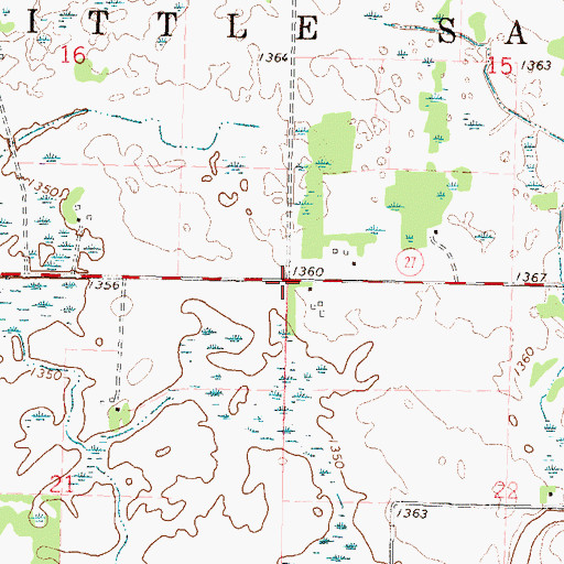 Topographic Map of Township of Little Sauk, MN