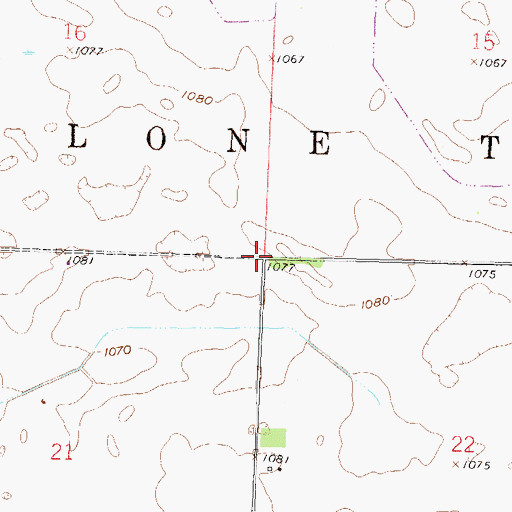 Topographic Map of Township of Lone Tree, MN