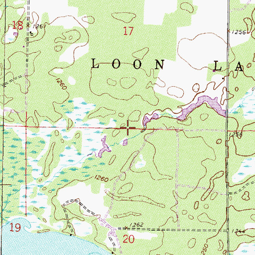 Topographic Map of Township of Loon Lake, MN
