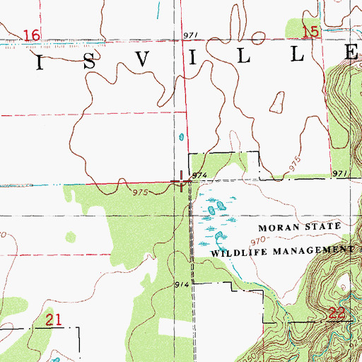 Topographic Map of Township of Louisville, MN