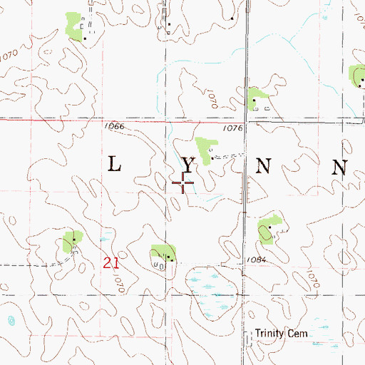 Topographic Map of Township of Lynn, MN