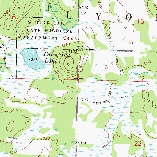 Topographic Map of Township of Lyons, MN