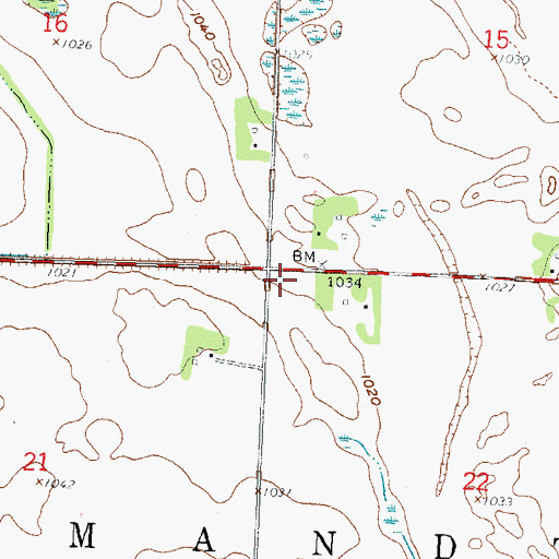 Topographic Map of Township of Mandt, MN