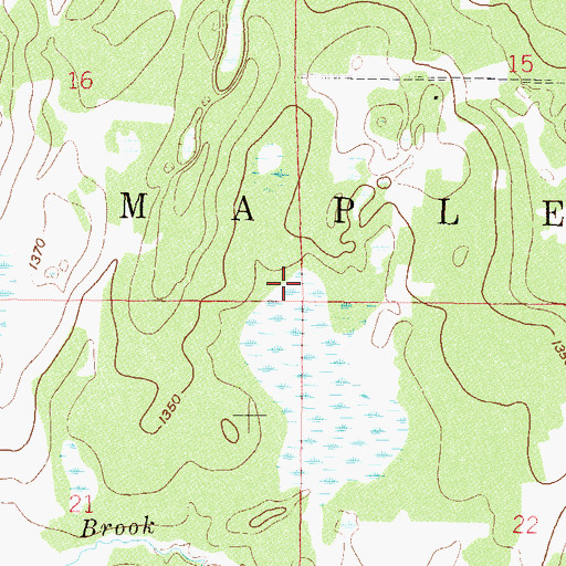 Topographic Map of Township of Maple, MN