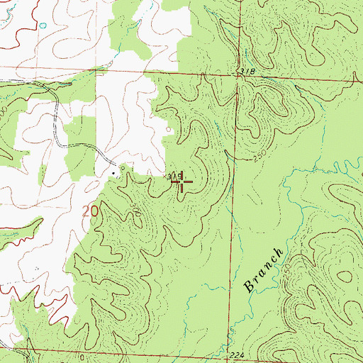 Topographic Map of Township of Manchester, AR