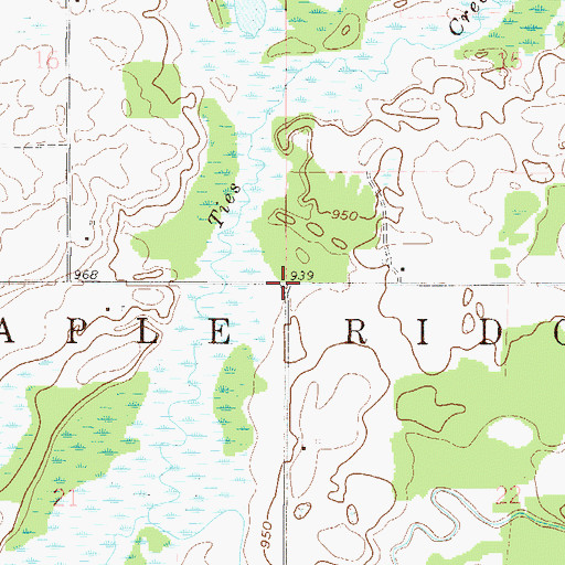 Topographic Map of Township of Maple Ridge, MN