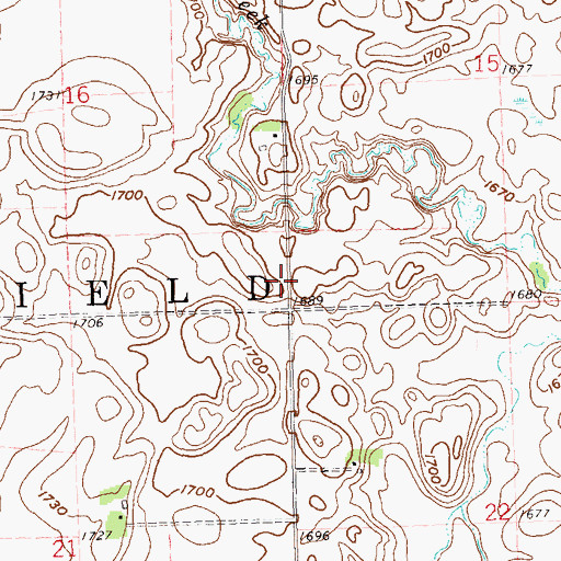 Topographic Map of Township of Marshfield, MN