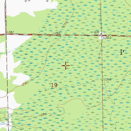 Topographic Map of Township of Meadowlands, MN