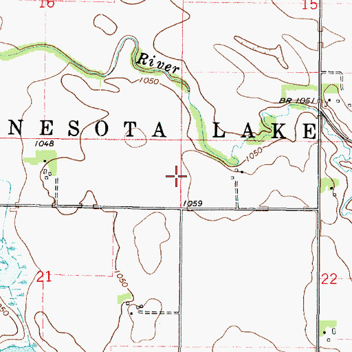 Topographic Map of Township of Minnesota Lake, MN