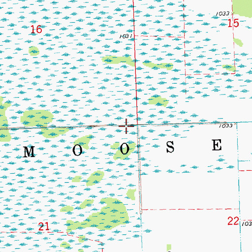 Topographic Map of Township of Moose, MN