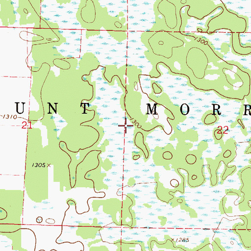 Topographic Map of Township of Mount Morris, MN