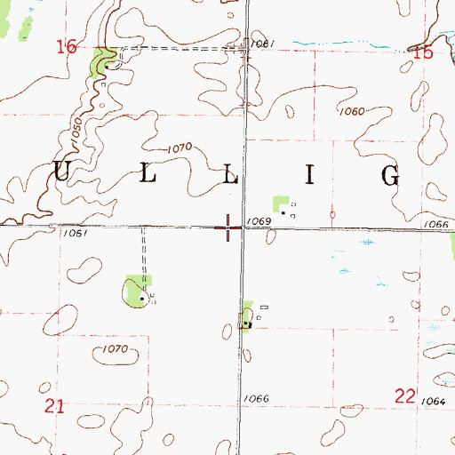 Topographic Map of Township of Mulligan, MN