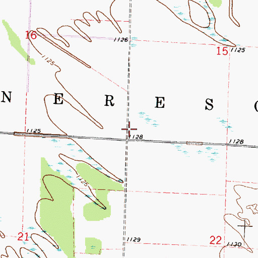 Topographic Map of Township of Nereson, MN