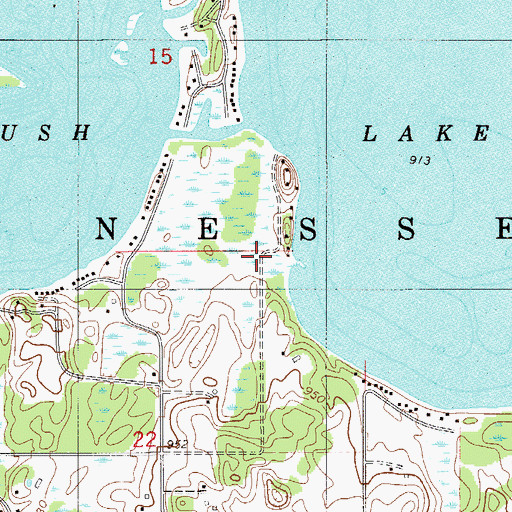 Topographic Map of Township of Nessel, MN
