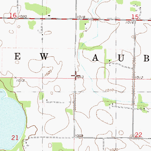 Topographic Map of Township of New Auburn, MN