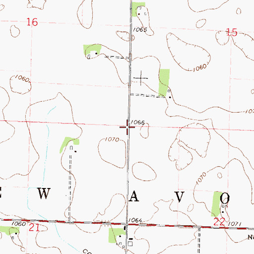 Topographic Map of Township of New Avon, MN