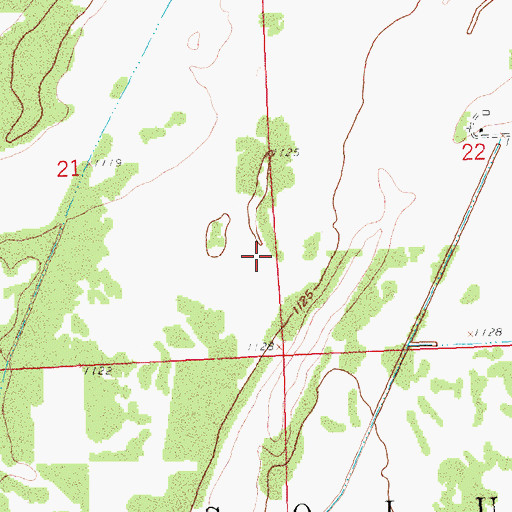 Topographic Map of Township of New Solum, MN