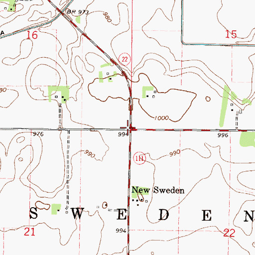 Topographic Map of Township of New Sweden, MN
