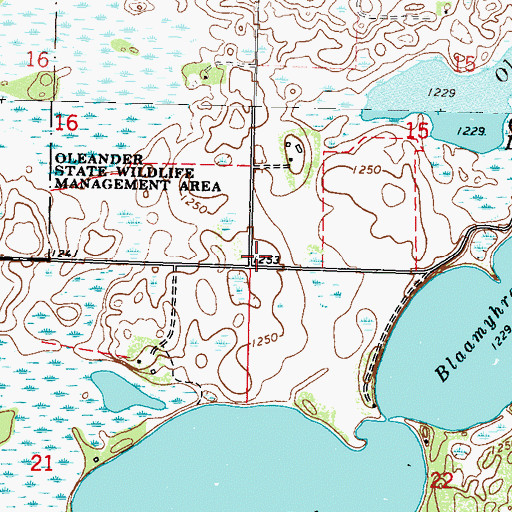 Topographic Map of Township of Norway Lake, MN