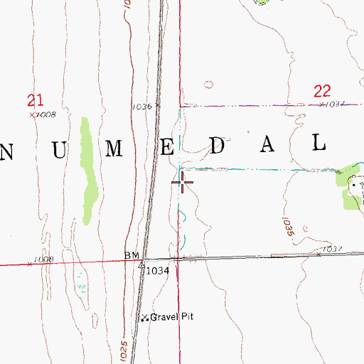 Topographic Map of Township of Numedal, MN