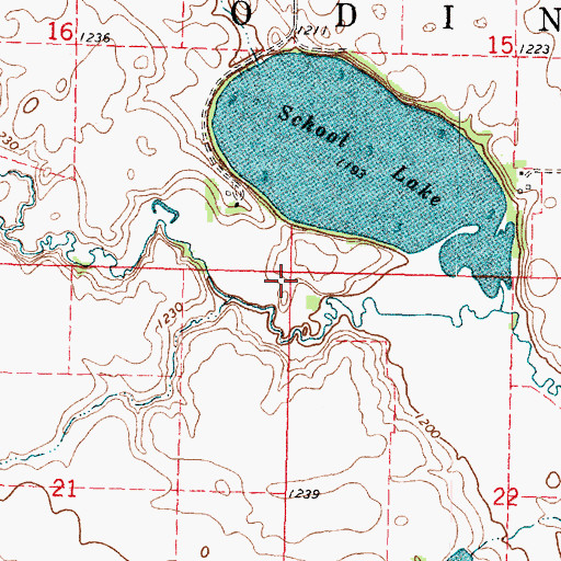 Topographic Map of Township of Odin, MN