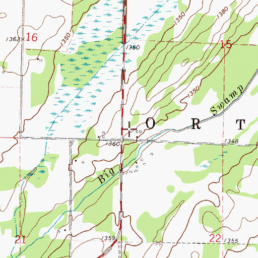 Topographic Map of Township of Orton, MN