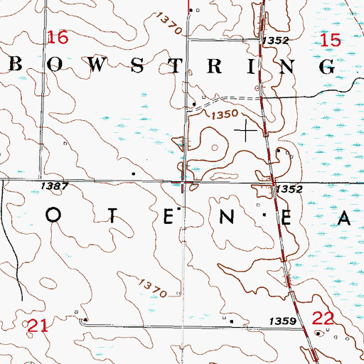 Topographic Map of Township of Oteneagen, MN