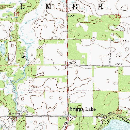 Topographic Map of Township of Palmer, MN