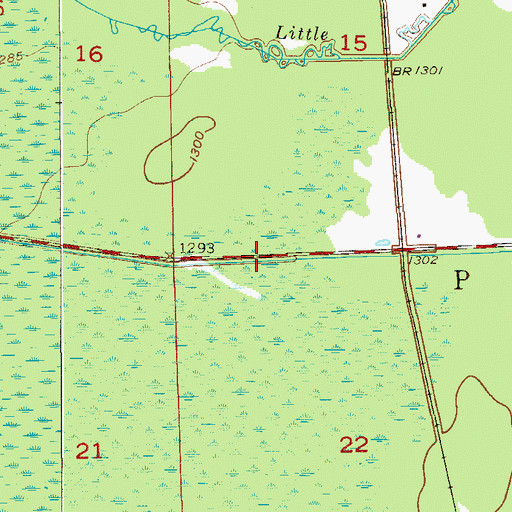 Topographic Map of Township of Payne, MN