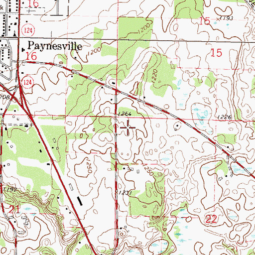 Topographic Map of Township of Paynesville, MN