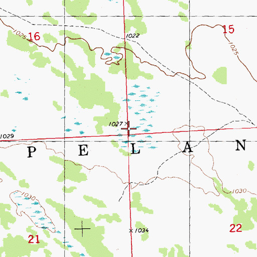 Topographic Map of Township of Pelan, MN