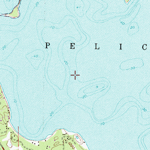 Topographic Map of Township of Pelican, MN