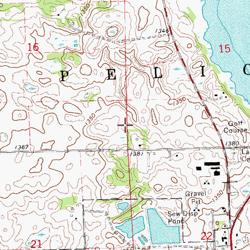 Topographic Map of Township of Pelican, MN