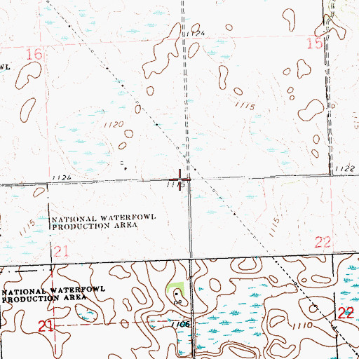 Topographic Map of Township of Pepperton, MN